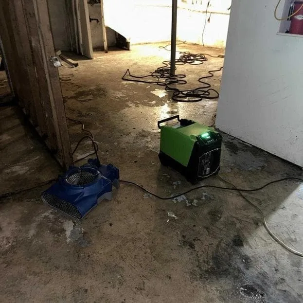 Air movers and a dehumidifier set up during basement cleanup in Hatboro.