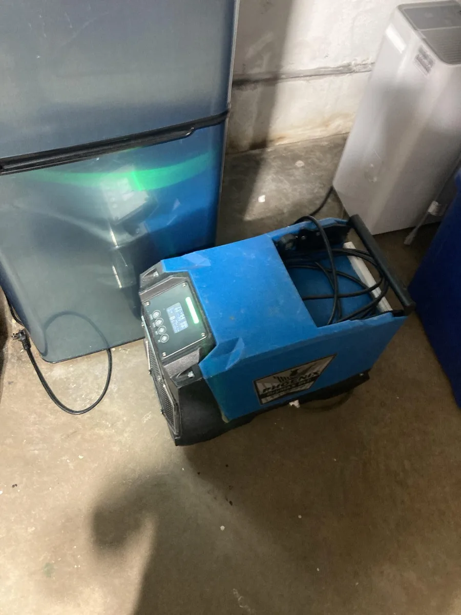 A dehumidifier operating beside basement appliances during a Roslyn water-cleanup project.