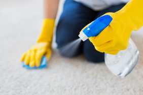 How To Dry Wet Carpet in the Basement 10