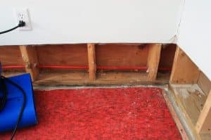 How To Dry Out a Wet Basement Fast 8