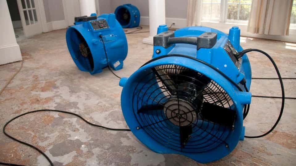 Understanding Common Terms in the Water Damage Industry