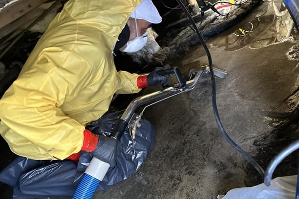 Restoration 365 | Willow Grove Based Water, Fire & Mold Damage Restoration