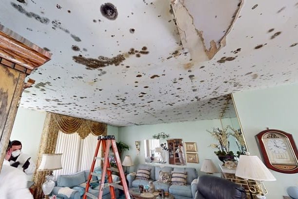 Restoration 365 | Willow Grove Based Water, Fire & Mold Damage Restoration